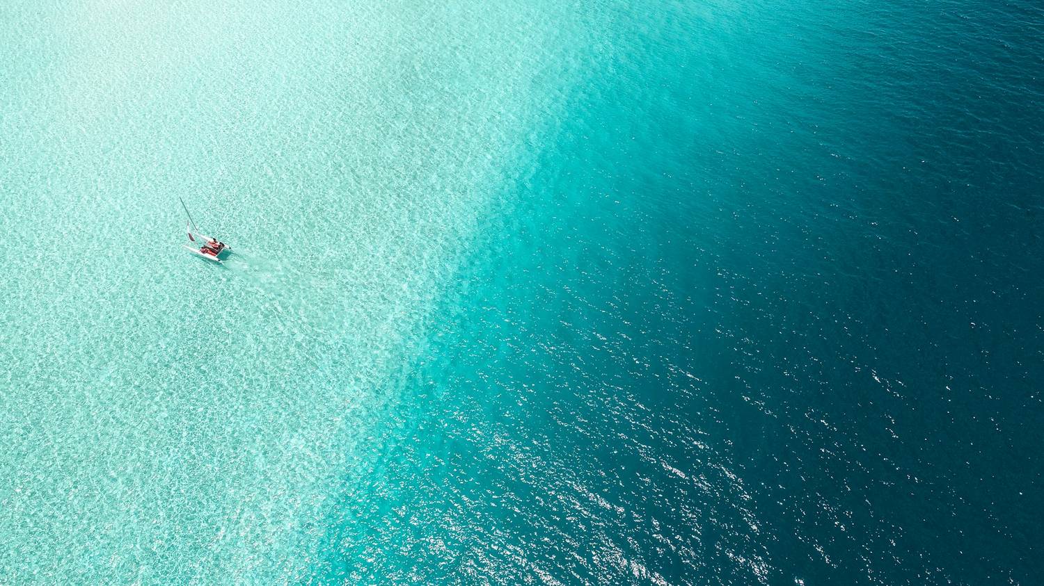 Kayak